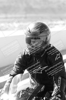 media/Mar-08-2025-TrackXperience (Sat) [[277b597a28]]/1-Around the Pits - Pre Grid/